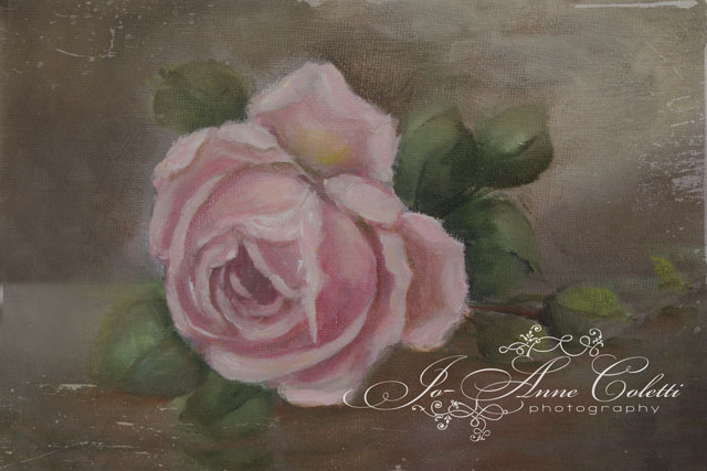 Vintage pink roses on canvas